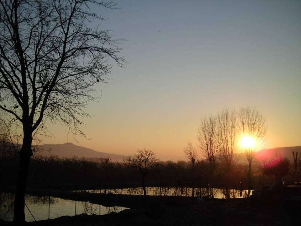 La Fontanella Hotel Montecchia di Crosara ภายนอก รูปภาพ